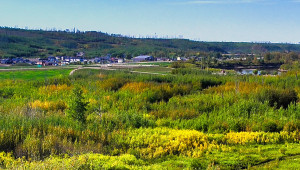 Clearwater River field trip