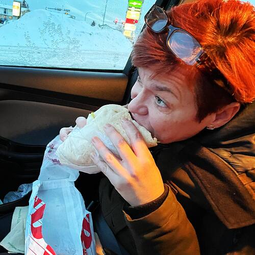 Pam never had a donair before today.