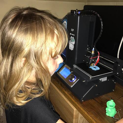 Carmen is my 3D printer monitor.