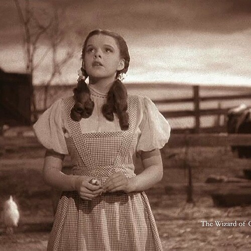 “Kansas?  No b’y, Dorothy is in Kansas” #shitpamsays