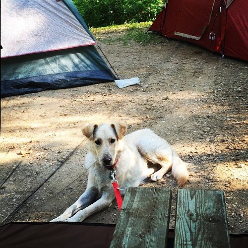 Earl “camping”