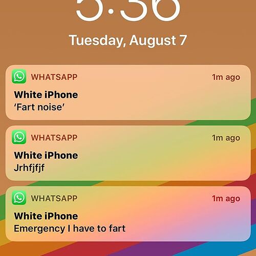 When you leave a phone with the kids to use â€œin case of an emergencyâ€