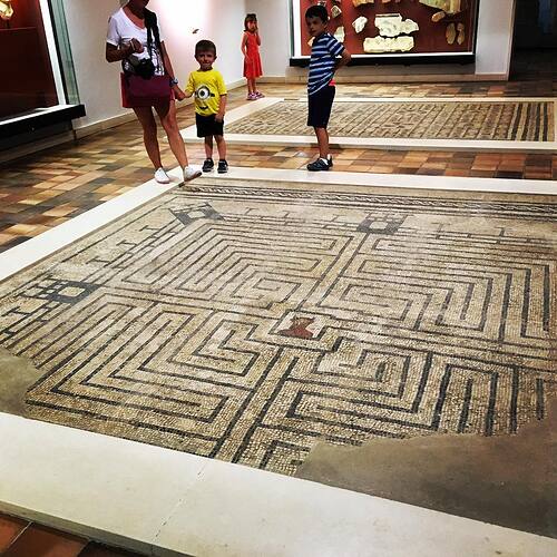 2000-year old mosaic. And of course Maxi just ran across it.