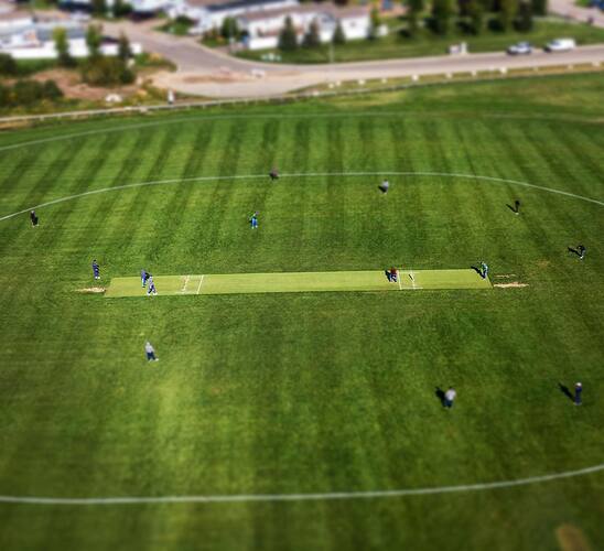 Cricket at Syncrude Athletic Park