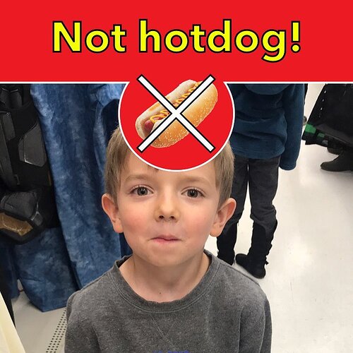 Still not a hotdog.