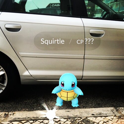 Caught Squirtle in Praia de Mira!  Awesome!