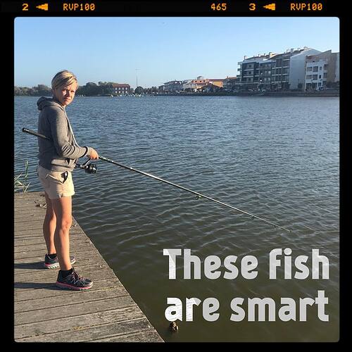These fish are smart.