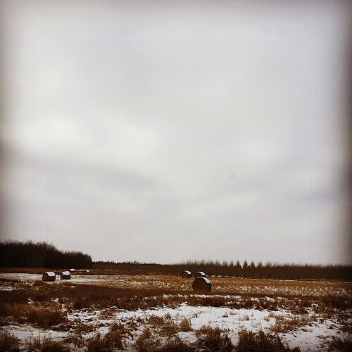 On the road to Edmonton.