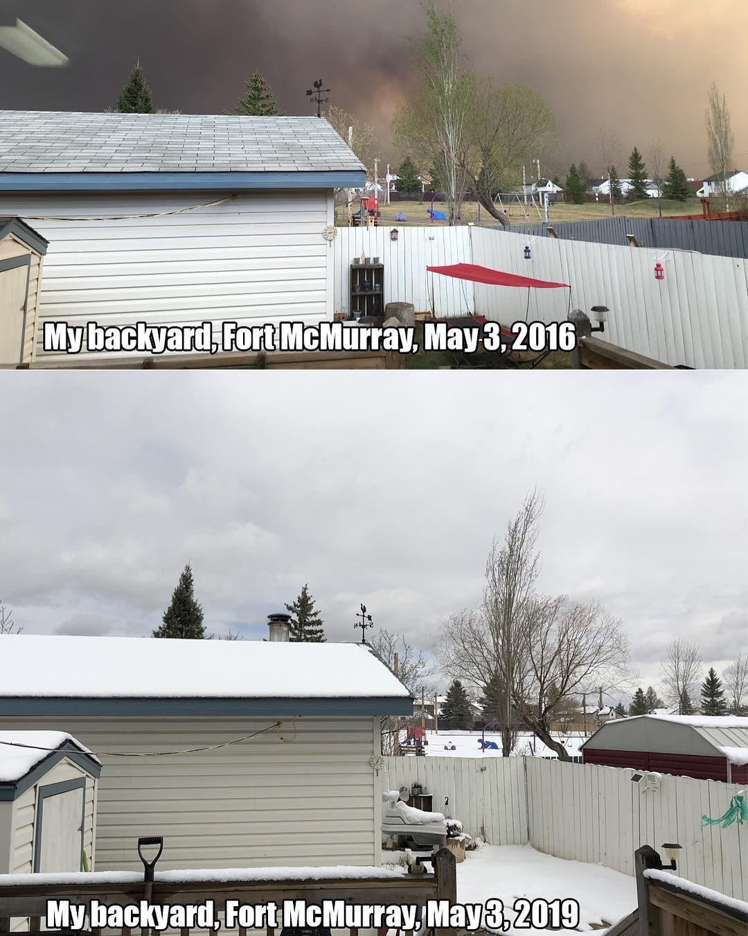 My backyard in Fort McMurray in 2016 vs 2019.
