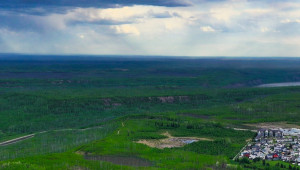 Tundra Drive & Thickwood