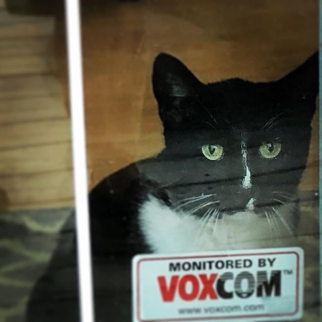Whatâ€™s going on out there?