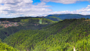 Casqueira, Summer 2017