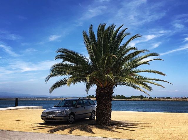 The perfect Portuguese ðŸ‡µðŸ‡¹ parking spot.  In the shade.