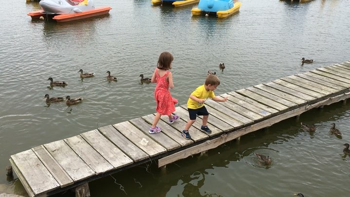 Maxi’s method of feeding ducks. A piece of bread for me, a piece for the ducks.
